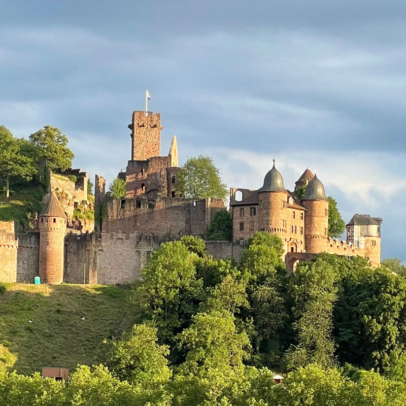 Kunstsommer Burg Wertheim – ART-isotope