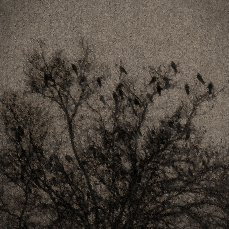 The Poe Trees, Cantos I – IV